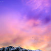 Pink Sky Mountain Sunset Queenstown, New Zealand
