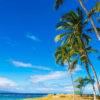 Island Life, Hawaii