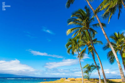 Island Life, Hawaii