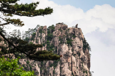 Monkey watching the Sea, China