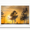 Best Sunrise Spots Sydney. Morning Stroll, Maroubra