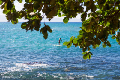 Paddleboarding in Maui Hawaii