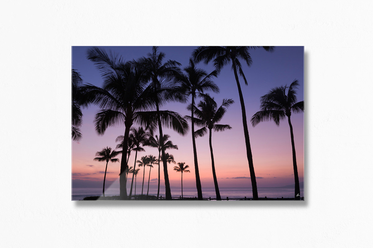 Paradise Palms, Hawaii - Acrylic Facemount