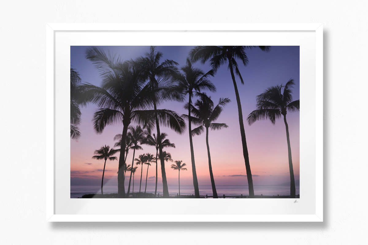 Paradise Palms, Hawaii - White Frame