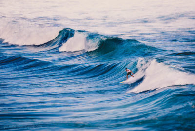 Surfing Big Waves Bondi Beach Sydney Australia