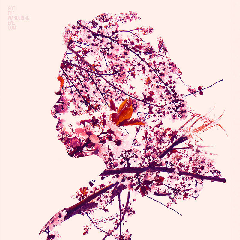 Double Exposure Portrait Photography. Cherry Blossoms Japan