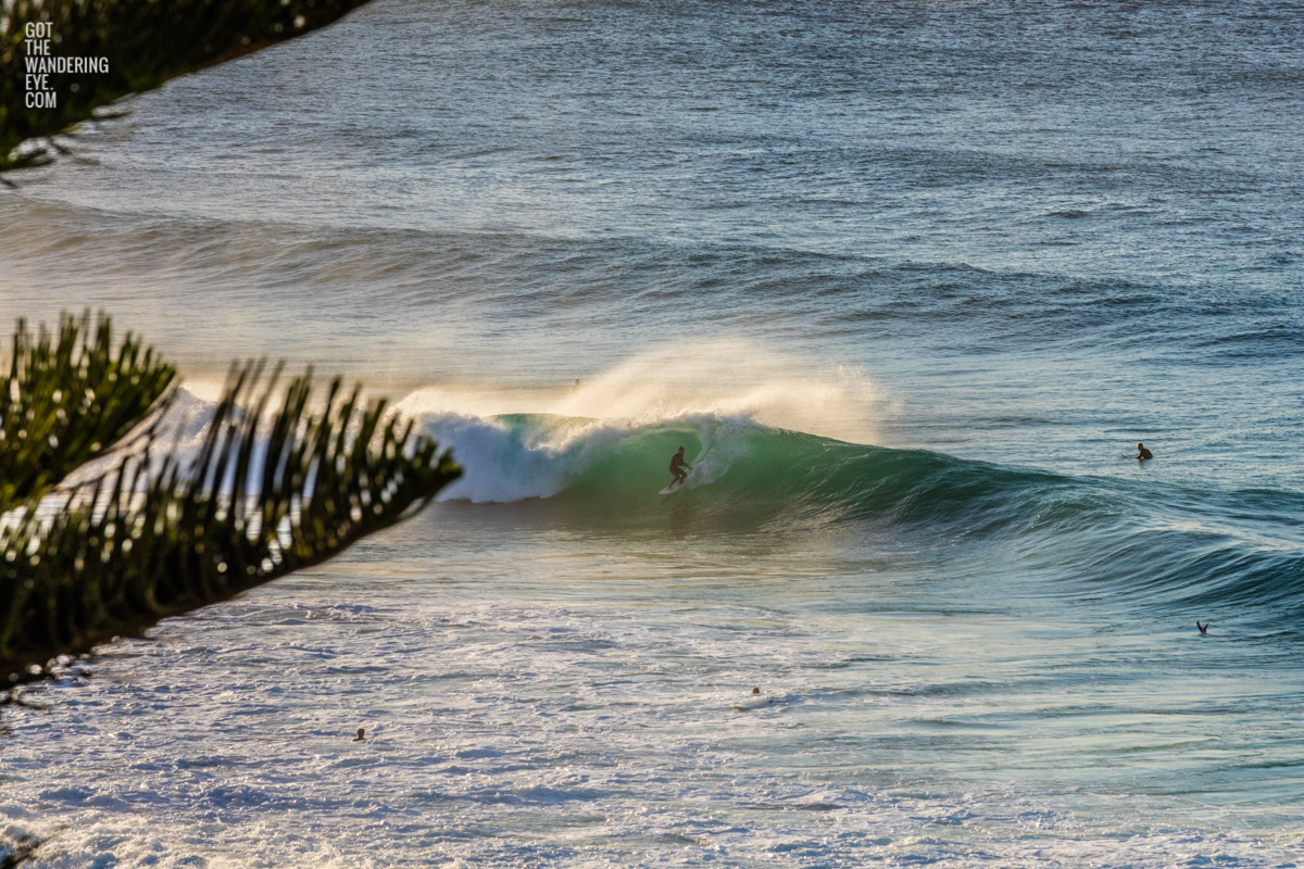 Surfing Bondi Beach big waves