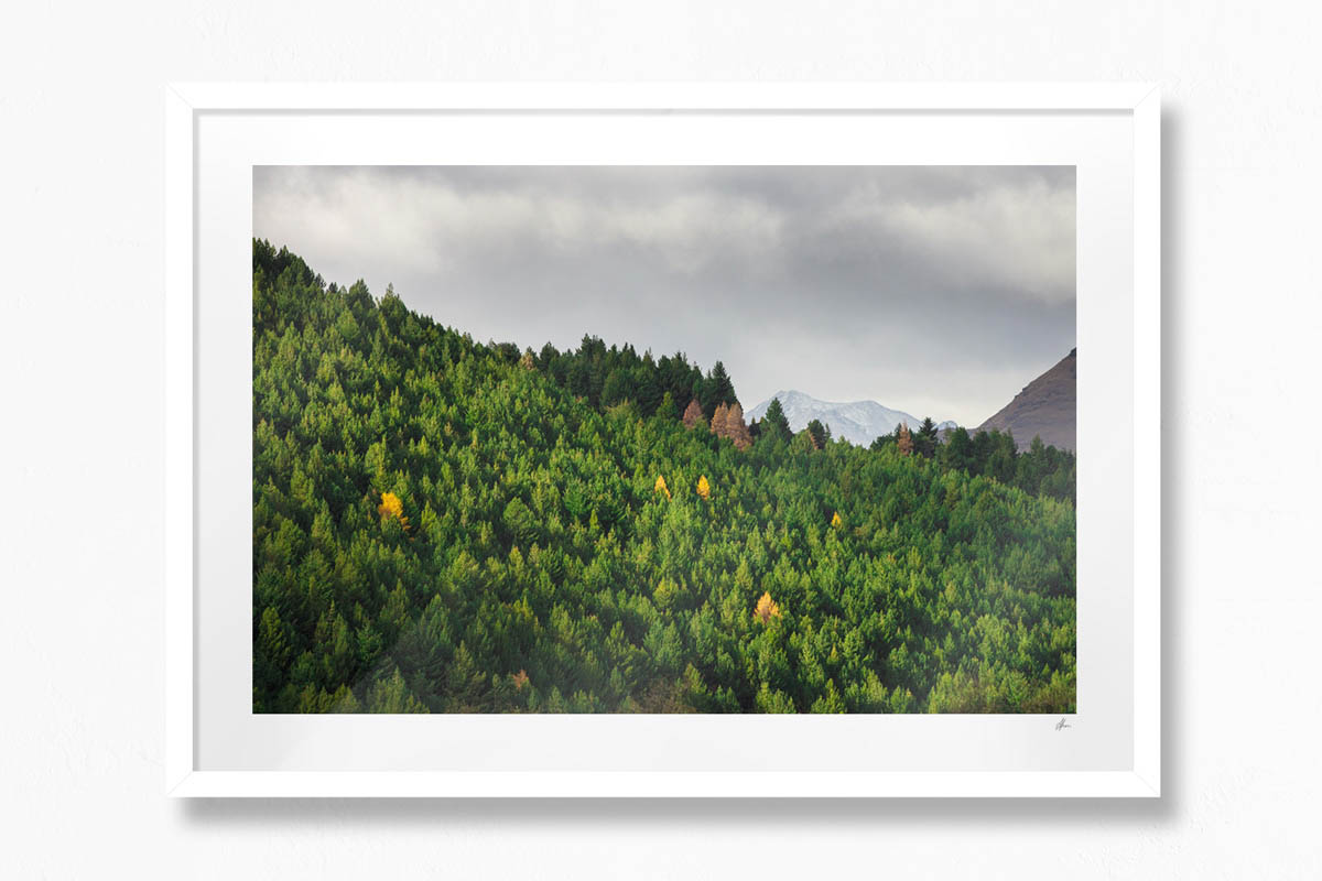 Mountain Pines, Queenstown - White Frame