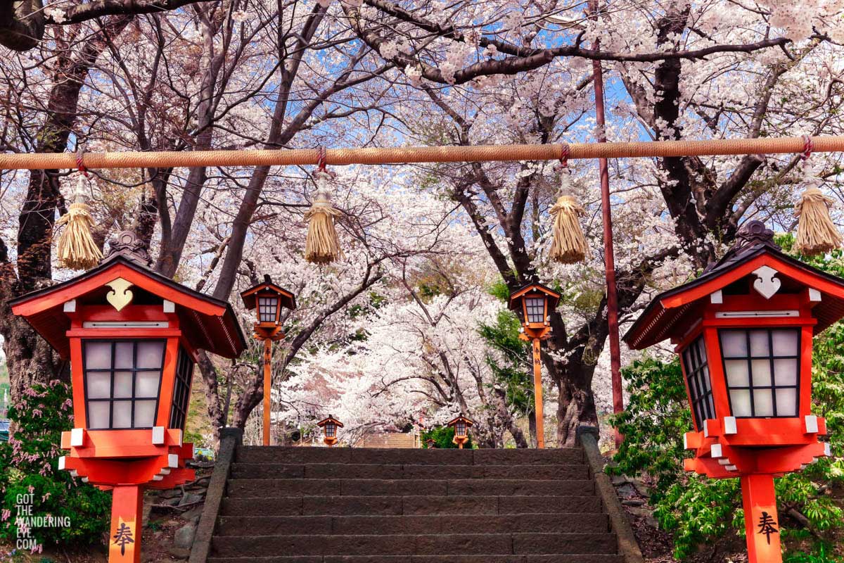 Sakura Steps Cherry Blossom Season. Arakurayama Sengen Park