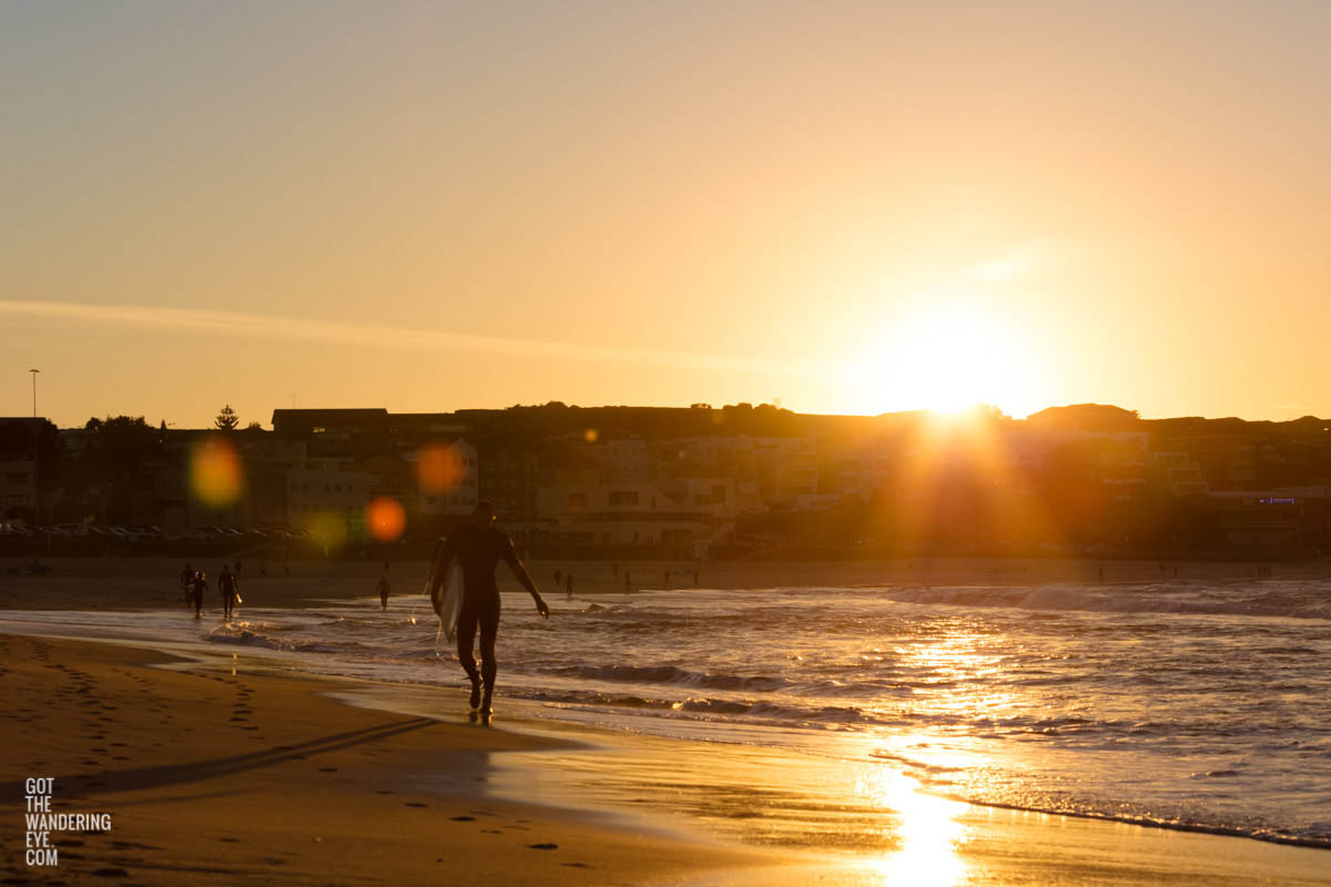 Sun Spots, Bondi Beach Morning Surf