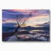 That Wanaka Tree - Image 2