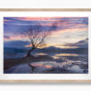 That Wanaka Tree - Image 4