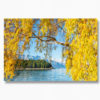 Autumn Queenstown. Yellow leaves with mountain and lake in the background