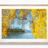 Autumn Queenstown. Yellow leaves with mountain and lake in the background