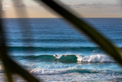 Surfers Bondi Beach good waves