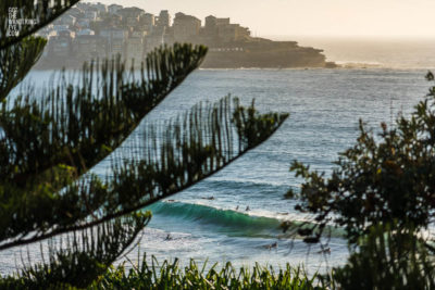 Morning Surf Bondi Beach