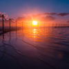 Stunning silhouetted sunrise over Bronte Rockpool