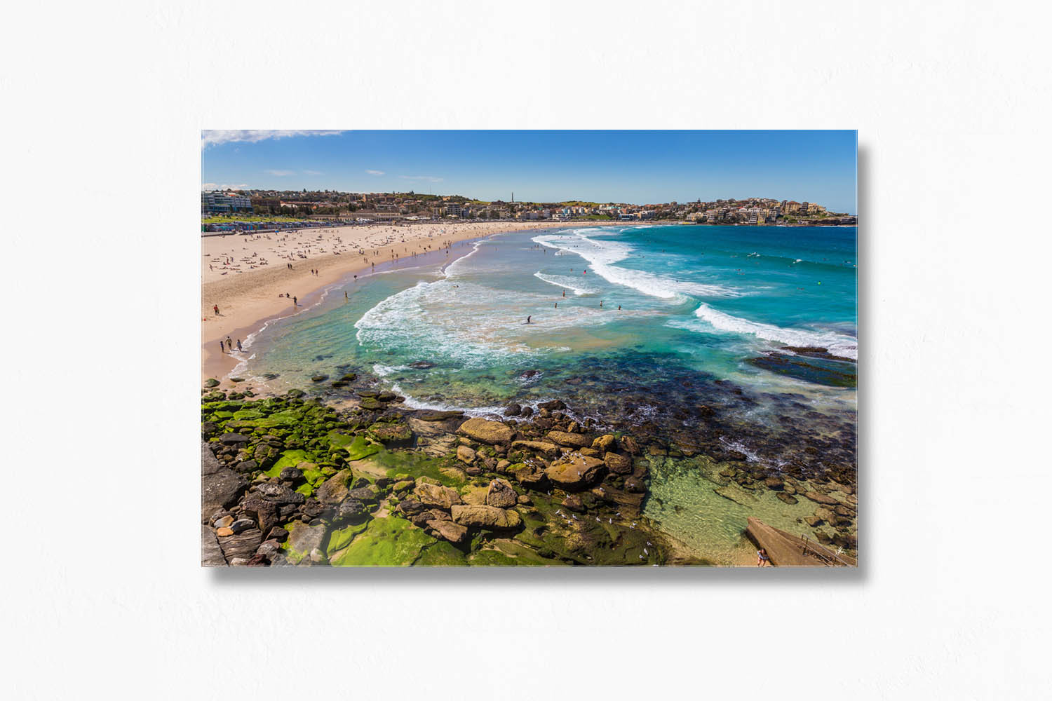 Bondi Beach Australia Landscape in Summer