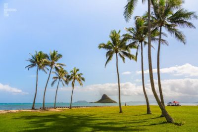 Chinamans Hat Hawaii in between palm trees in Oahu