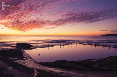 A lone swimmer witnessing a gorgeous pink sky sunrise over Mahon Pool, Maroubra