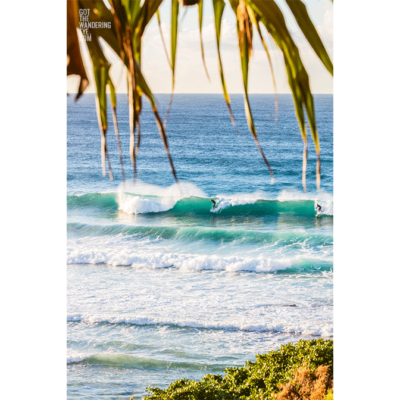 Surfing Bondi Beach Australia