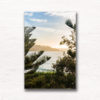Sunrise in between Bondi Beach Pine Tree
