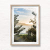 Sunrise in between Bondi Beach Pine Tree