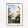 Sunrise in between Bondi Beach Pine Tree