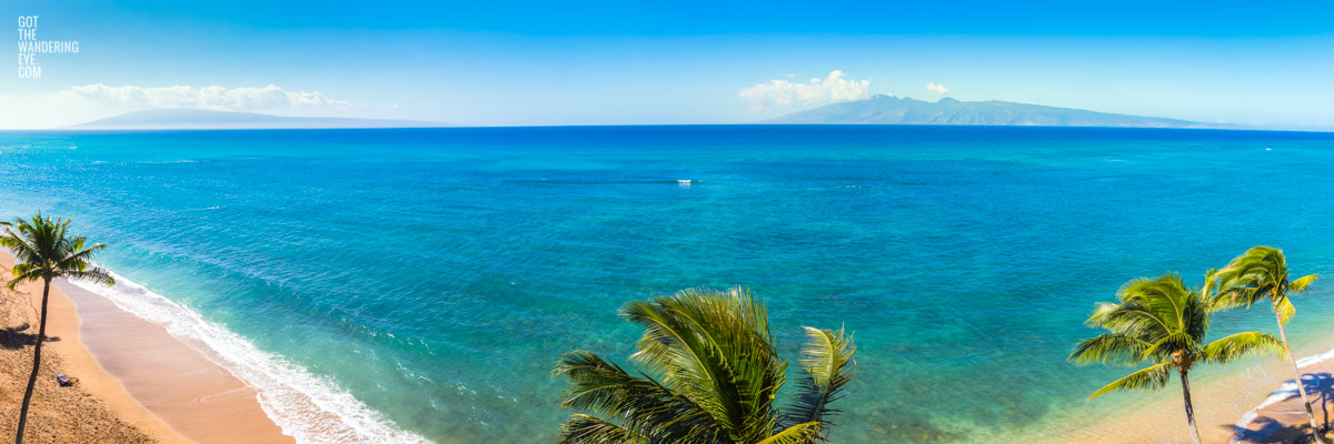 Aerial oceanscape panorama overlooking palm trees on Maui Island