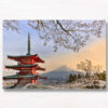 Cherry Blossoms Chureito Pagoda. Looking at a sunset of Mount Fuji