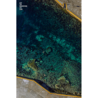 Clovelly Ocean. Aerial view above swimmers