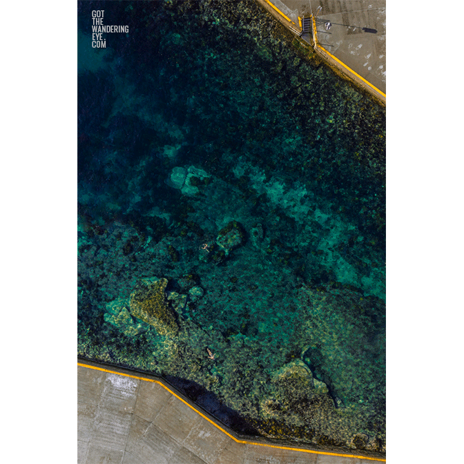 Clovelly Ocean. Aerial view above swimmers