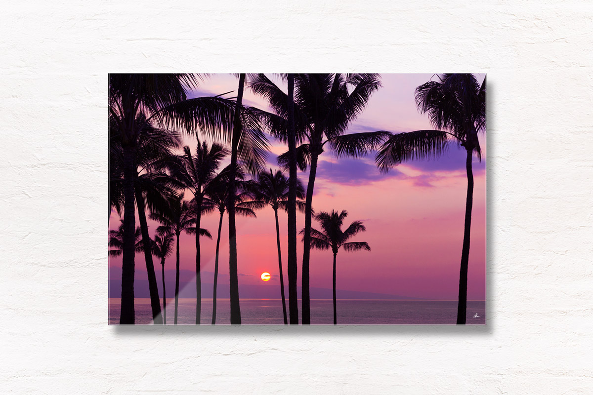 Hawaiian Palm Tree Sunset. Maui, Hawaii