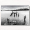 Old Wharf Queenstown Glenorchy. Black & White landscape
