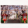 Sakura Steps Cherry Blossom Season. Arakurayama Sengen Park