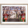 Sakura Steps Cherry Blossom Season. Arakurayama Sengen Park