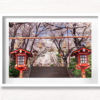 Sakura Steps Cherry Blossom Season. Arakurayama Sengen Park