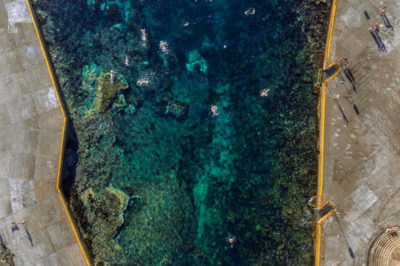 Snorkellers at Clovelly Beach. Aerial beach view above swimers