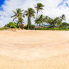 Palm Tree Paradise Beach. Woman walking on Island in Maui Hawaii