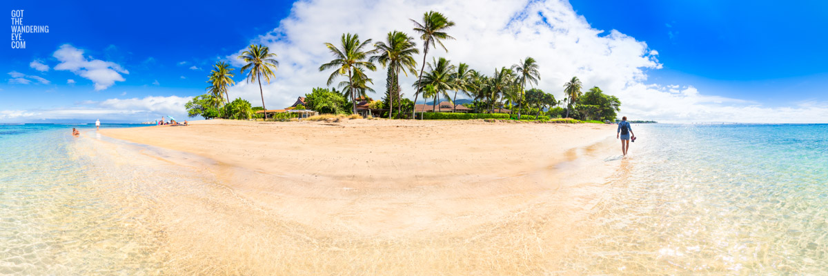 Palm Tree Paradise Beach. Woman walking on Island in Maui Hawaii