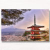 Chureito Pagoda Sunset during the Cherry Blossom Season. Mount Fuji in the background.