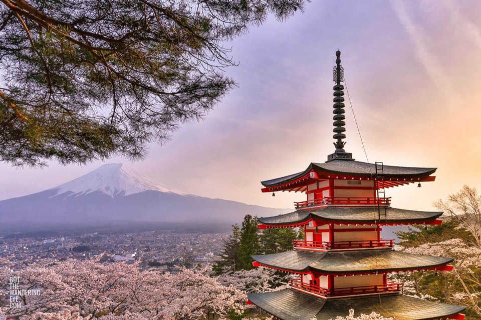 Chureito Pagoda Sunset during the Cherry Blossom Season. Mount Fuji in the background.