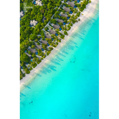 Beach House Maldives Aerial. Palm tree tropical paradise.