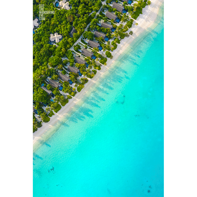 Beach House Maldives Aerial. Palm tree tropical paradise.