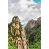 Forest Peaks of Huangshuan. Yellow Mountains, China