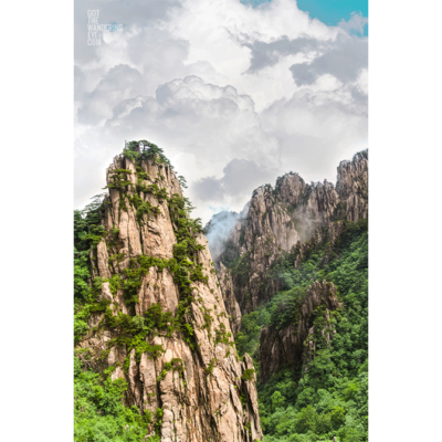 Forest Peaks of Huangshuan. Yellow Mountains, China