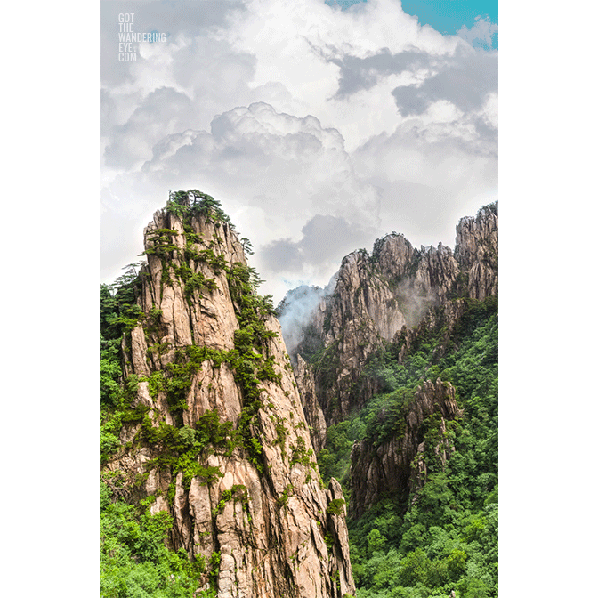 Forest Peaks of Huangshuan. Yellow Mountains, China