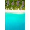 Palm Tree Paradise. Beach House Maldives