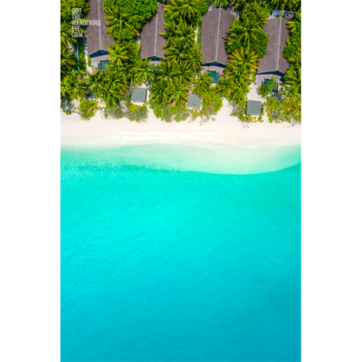 Palm Tree Paradise. Beach House Maldives