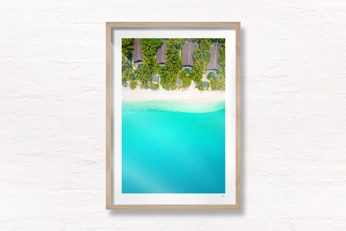 Palm Tree Paradise. Beach House Maldives